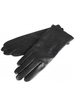 11350 Hestra W Gaucho Nellie Hanske - SORT